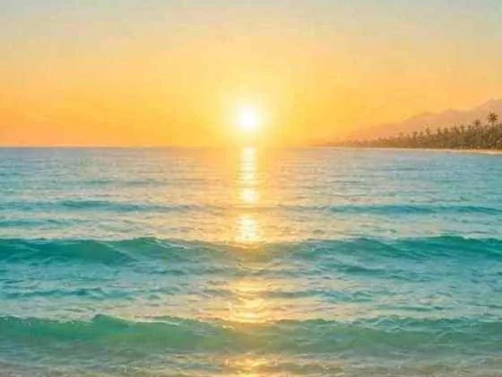 The sun setting over the sea